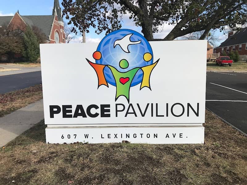 The Peace Pavilion - Image 1
