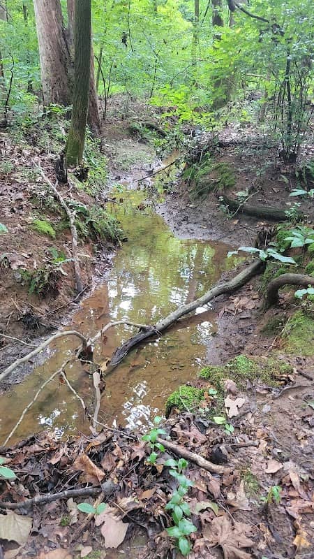 Gar Creek Nature Preserve - Image 2