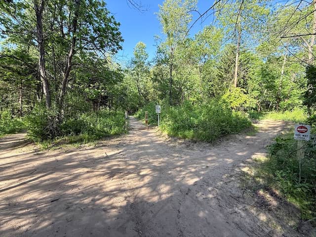 Fourmile Mountain Bike Park - Image 2