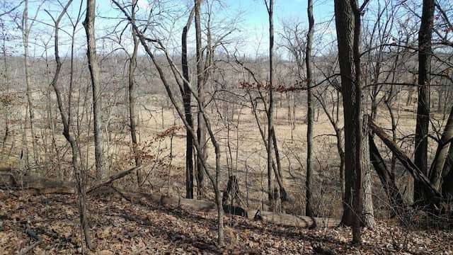 Shady Hollow Nature Area Parking - Image 1