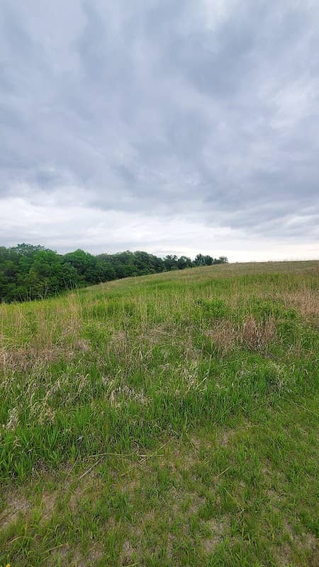 Widerness park parking area - Image 1
