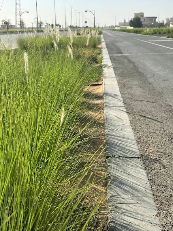 Walking path - Image 1