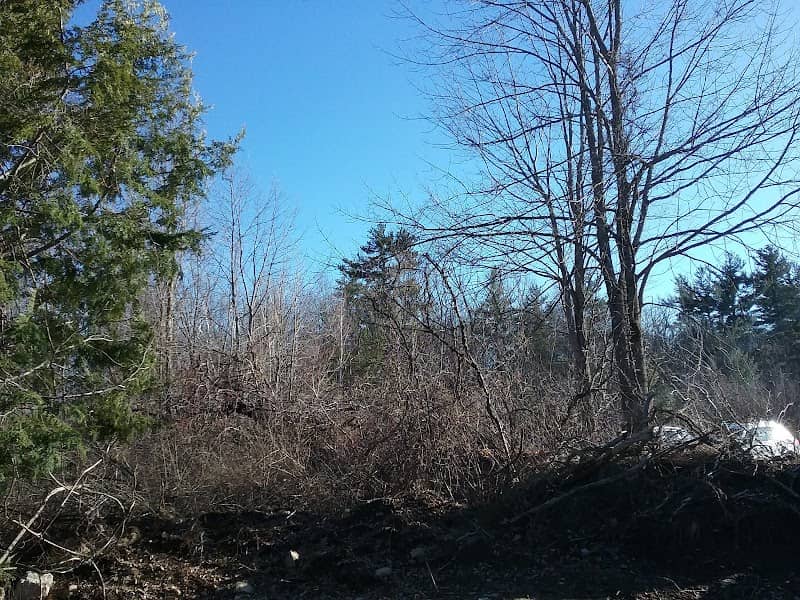 High Ridge Wildlife Management Area - Image 2