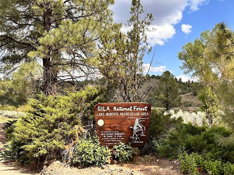 Gila National Forest - Image 1