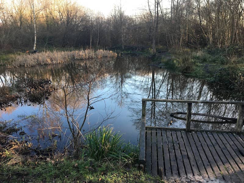 Wildern Local Nature Reserve - Image 1