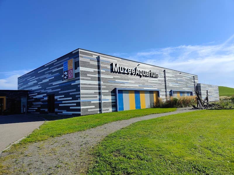 Muzeeaquarium Delfzijl - Image 1
