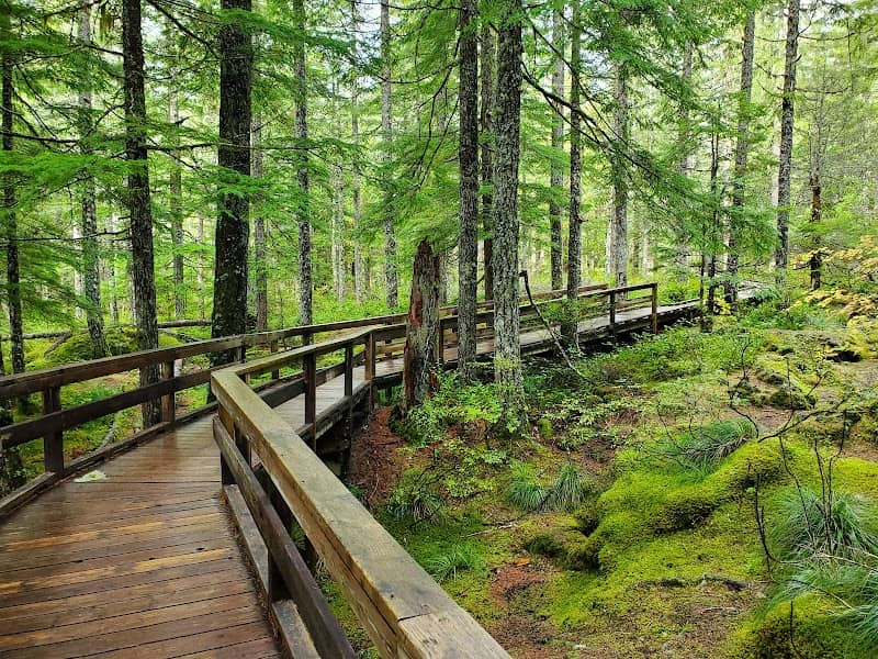 Trail of Two Forests Interpretive Site - Image 2