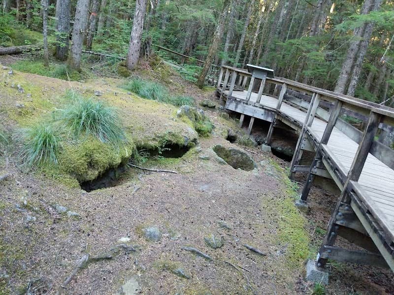Trail of Two Forests Interpretive Site - Image 1