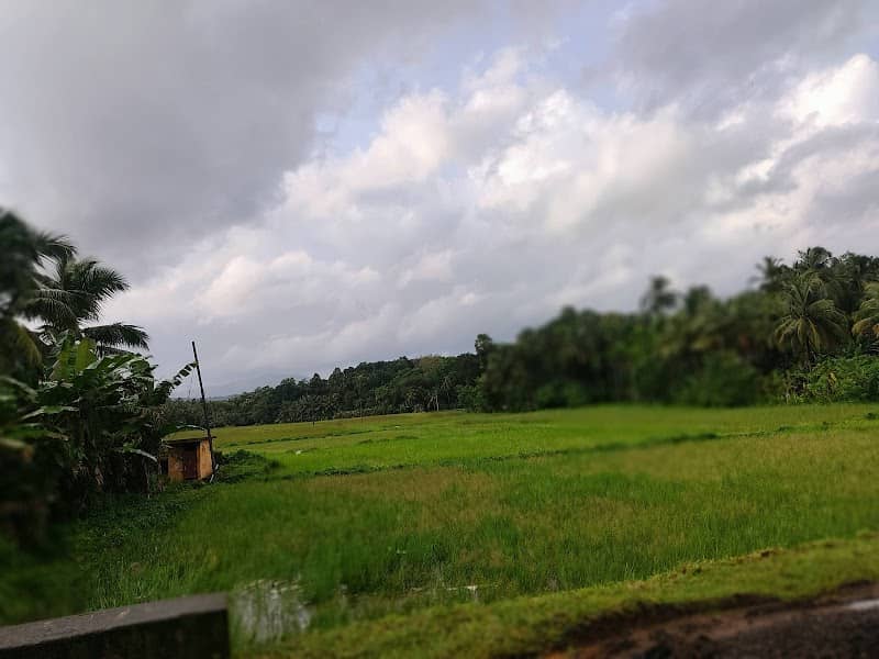 Veettikkadu View Point - Image 1