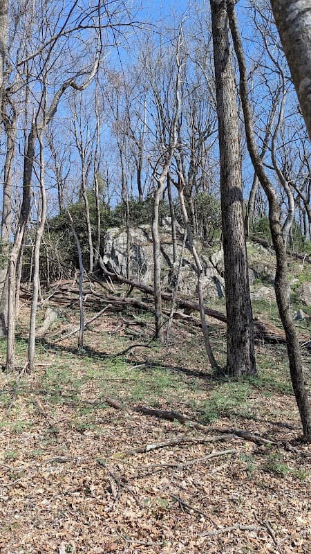 Cedar Ridge Trail - Image 1