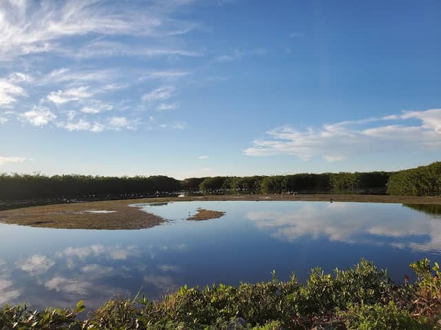 J.N. "Ding" Darling National Wildlife Refuge - Image 2