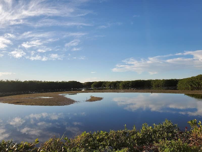 J.N. "Ding" Darling National Wildlife Refuge - Image 2