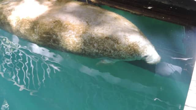 Manatee County Natural Resources - Image 2