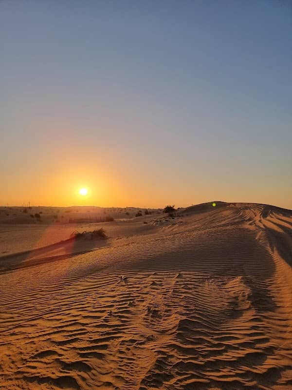 Evening Desert Safari Dubai Deals - Image 3