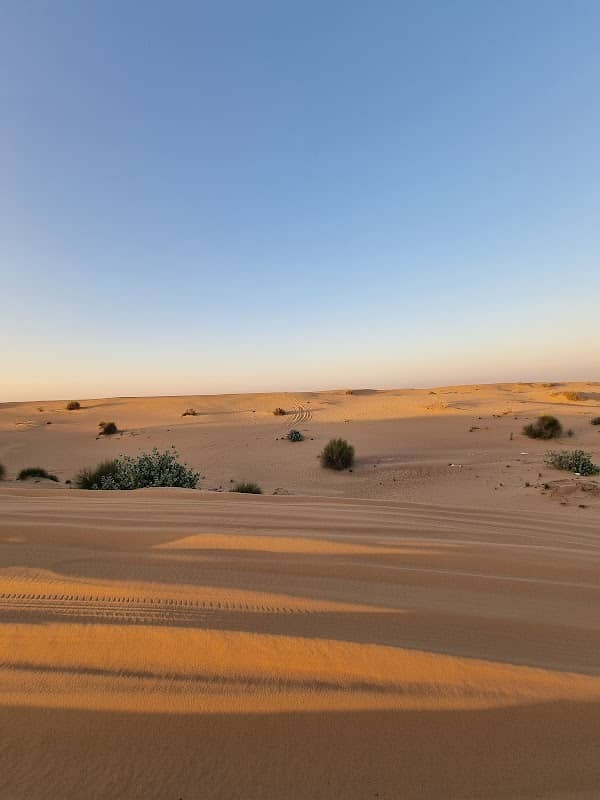 Evening Desert Safari Dubai Deals - Image 1