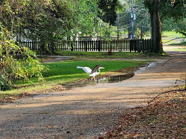 Lafayette Parish Bayou Vermilion District - Image 1