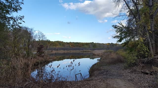 Woodlawn Preserve - Image 2