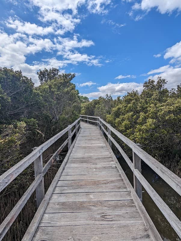 Mangrove Boardwalk - Image 1