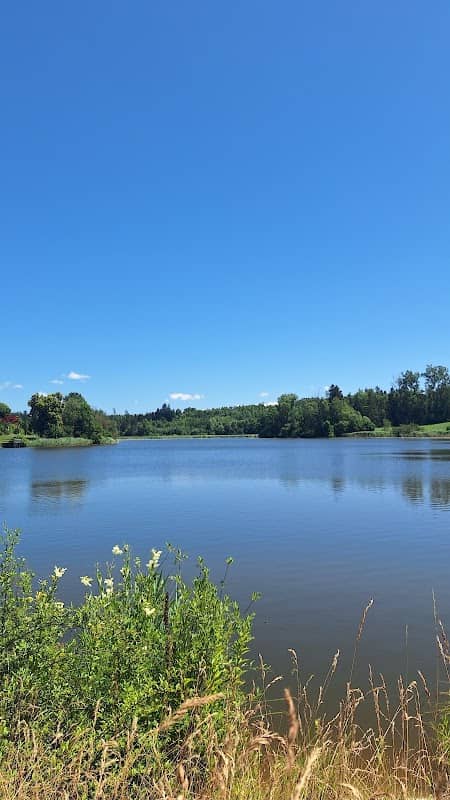 Neuravensburger Weiher - Image 1