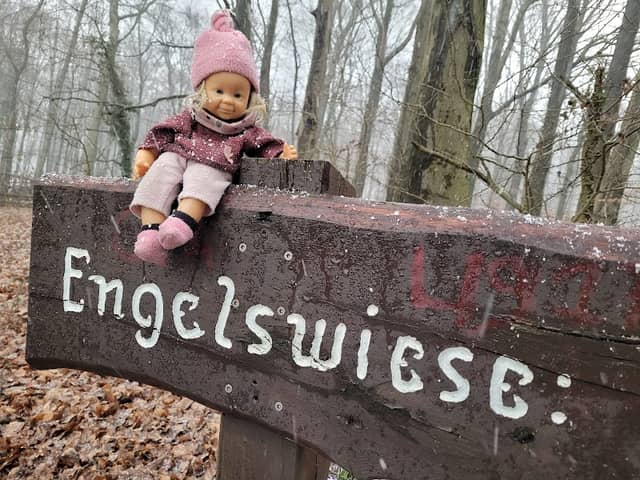 Engelswiese - Image 1