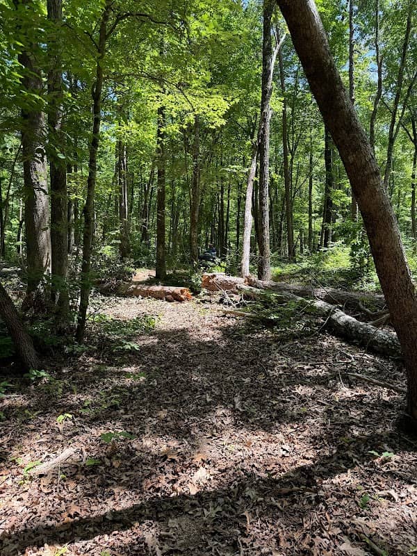 Parsons Mountain OHV Trail - Image 2