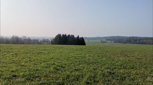 Oak Mountain - Image 1