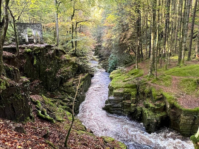 Hafod Estate - Image 3