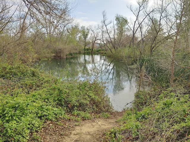 Chino Creek Wetlands and Educational Park - Image 2