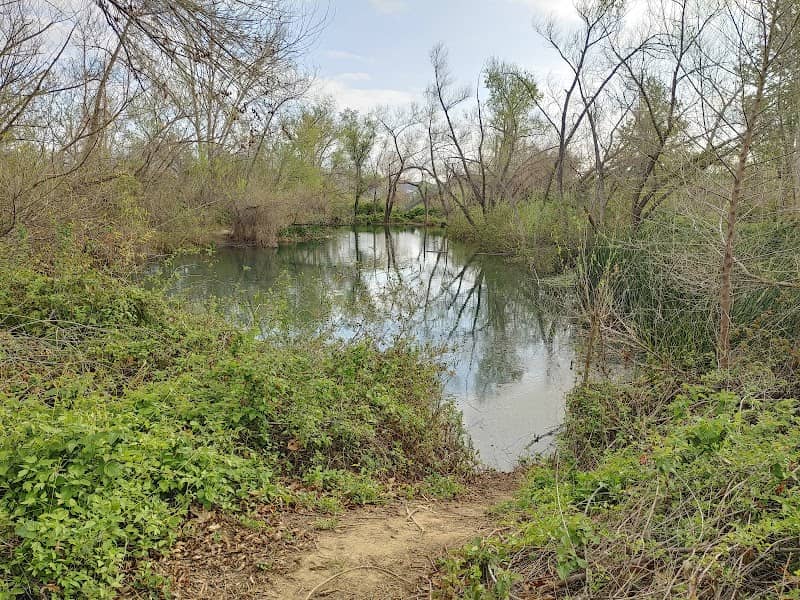 Chino Creek Wetlands and Educational Park - Image 2