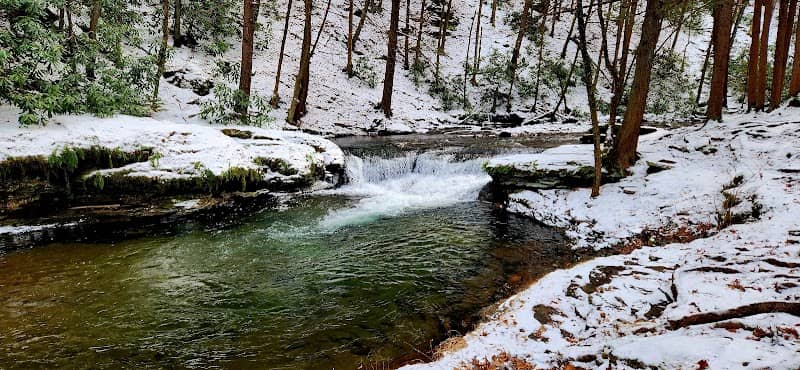 Wykoff Run Falls - Image 2