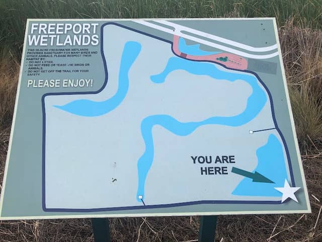 Freeport Wetlands - Image 1