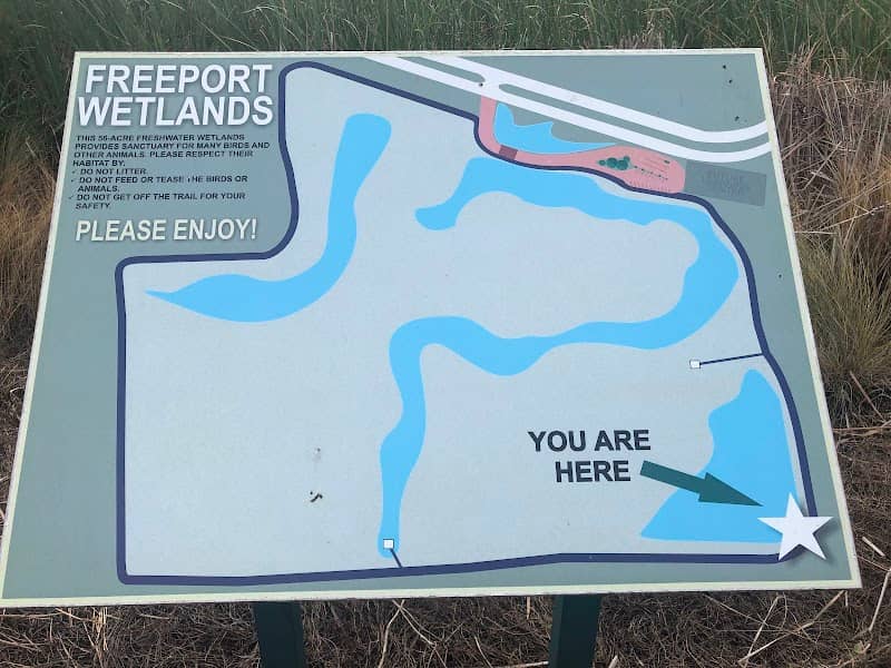 Freeport Wetlands - Image 1