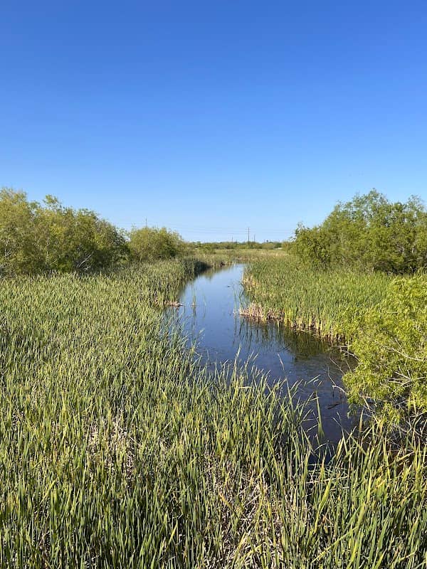 Freeport Wetlands - Image 3