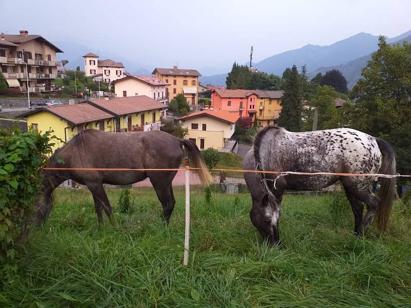 Parco Giochi Pubblico - Giardino dei giusti - Image 1