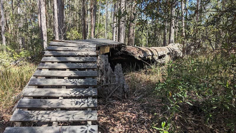 Jacks Ridge Mountain Bike Park - Image 1