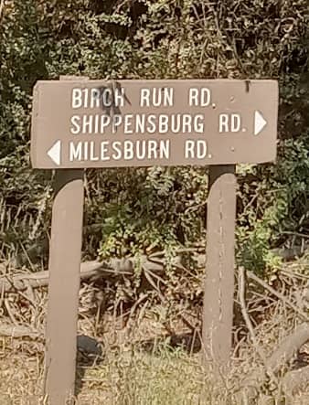 Michaux State Forest - Image 1