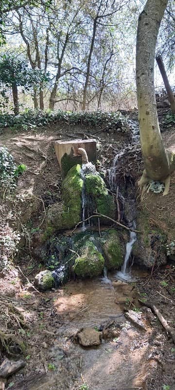 Cogenhoe Pocket Park - Image 1