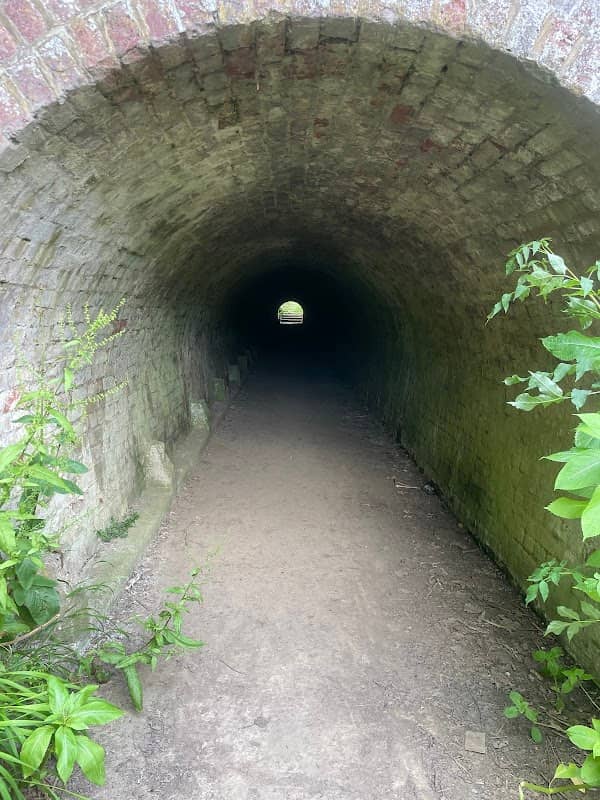 The Wonder of Oxbow - Image 1