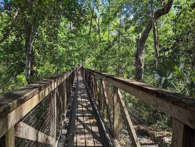 Ravine Gardens State Park - Image 1