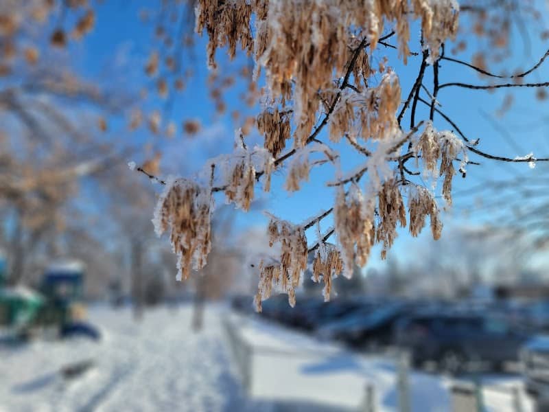 Exchange Club Park - Image 2
