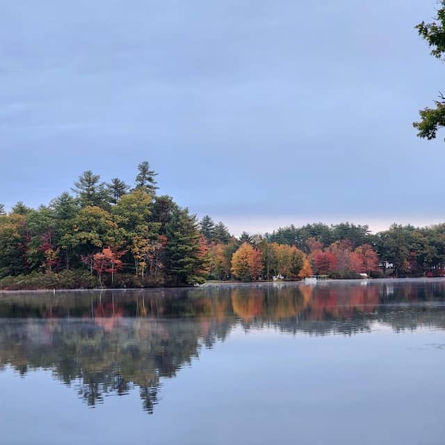 Lee Town Forest - Image 1