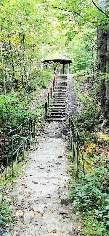 Das Geheimnis des Küchwalds - Image 2
