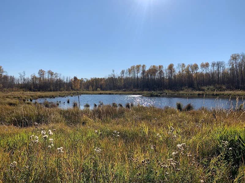 Ministik Lake Game Bird Sanctuary - Image 2