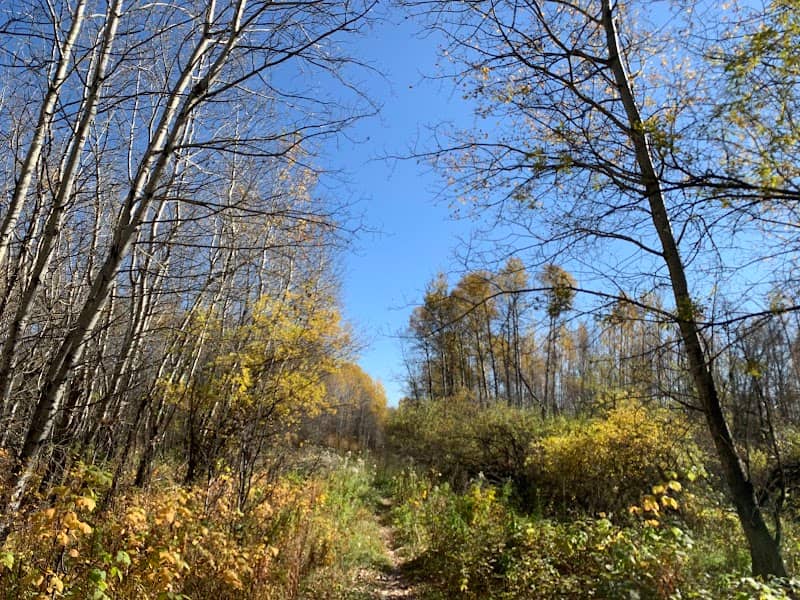 Ministik Lake Game Bird Sanctuary - Image 1