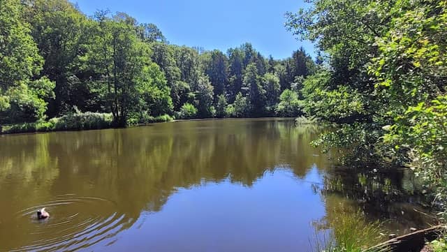 Bürger Park - Image 1
