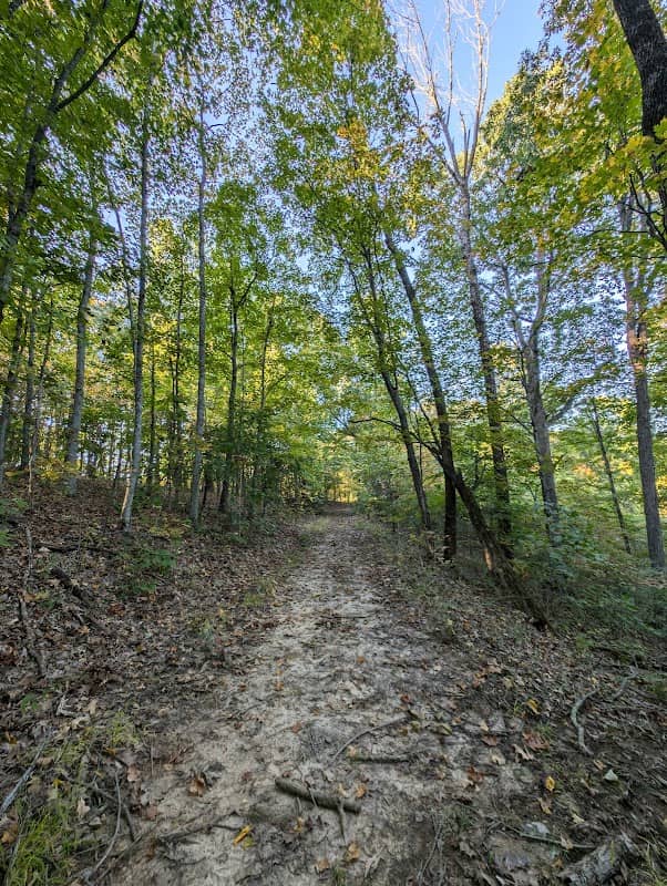 Engelmann Woods Natural Area - Image 1