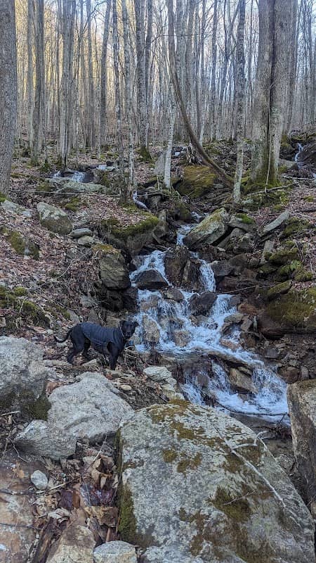 Grassy Gap Trail - Image 1