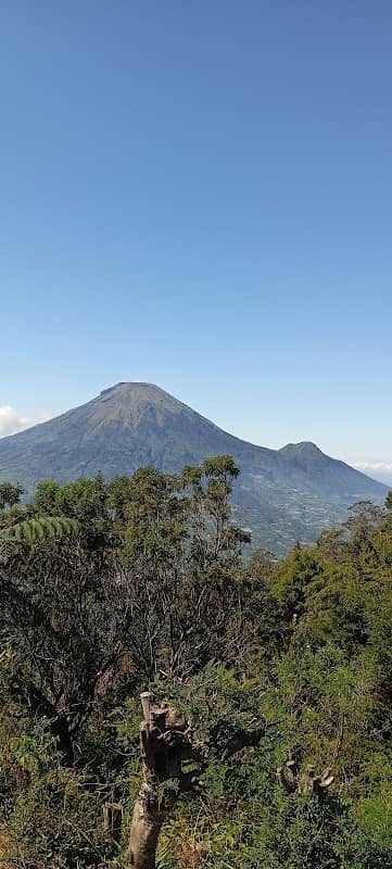 Spot Lautan Awan Sembungan - Image 2