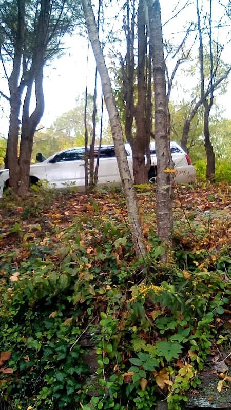 Kephart Park - Image 3