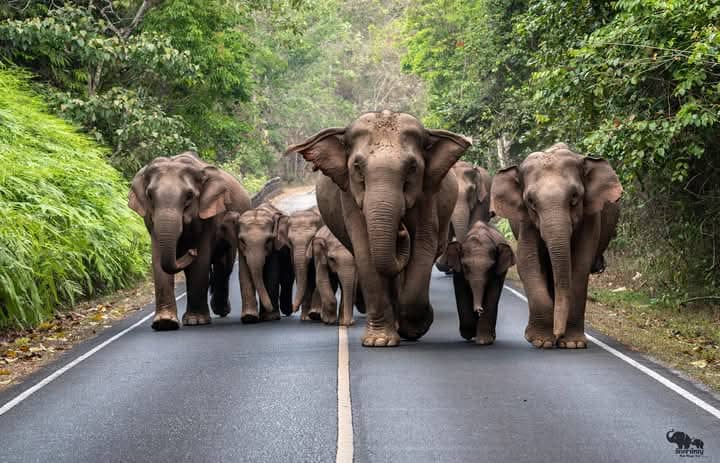 Adventure tour, wildlife viewing, nature study - Image 2